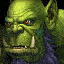 Greenskin Orc