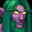 Night Elf