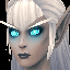 Undead Elf