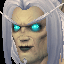 Undead Elf